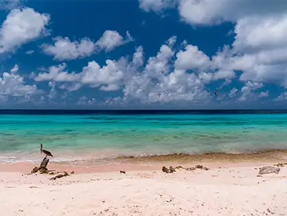  Punta Arrecifes Cozumel 