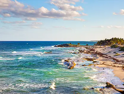  Punta Arrecifes Cozumel 