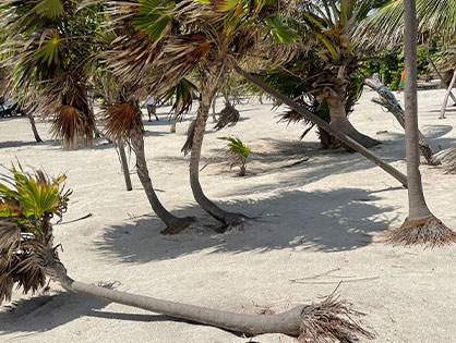 Lot for sale costa maya
